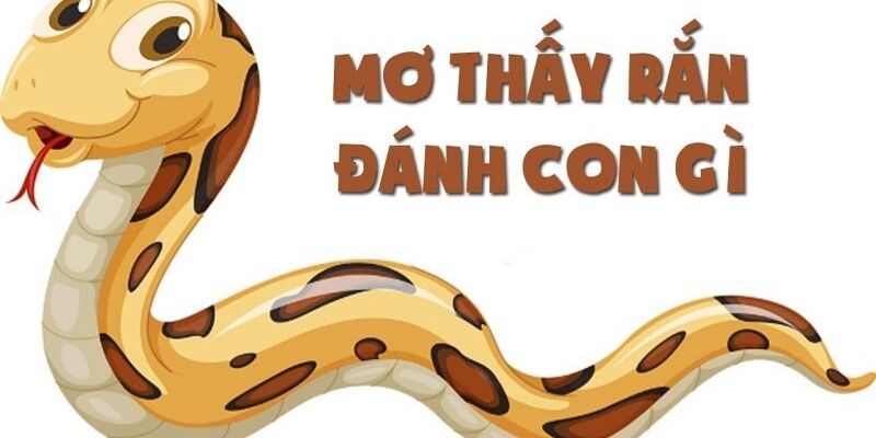 Nằm Mơ Thấy Rắn Đánh Con Gì - Gợi Ý Chi tiết Từ 77BET 2 Tìm hiểu ý nghĩa của những giấc mơ liên quan đến rắn