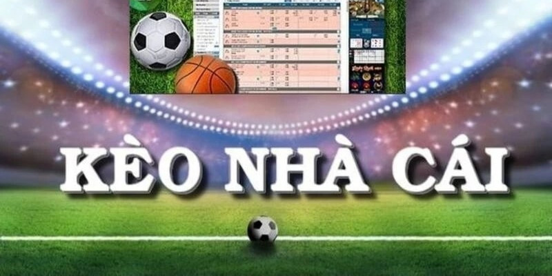 Cách Soi Kèo Nhà Cái Hiệu Quả Và Chính Xác Có Thể Bạn Chưa Biết 2 Bạn có thể tìm trận đấu để ra kèo nhà cái hiệu quả nhất